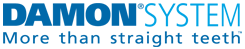 damon-system_logo