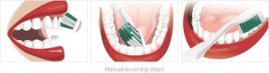 manual-brushing-steps